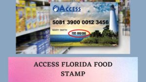 access florida food stamps balance